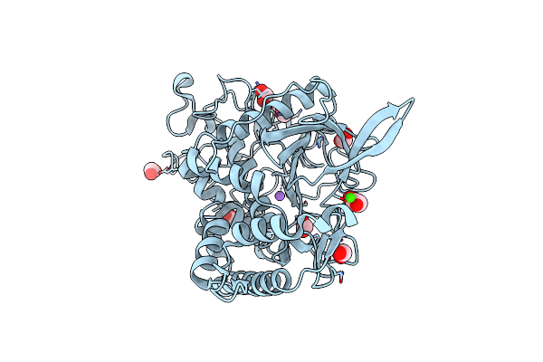 3DEB image