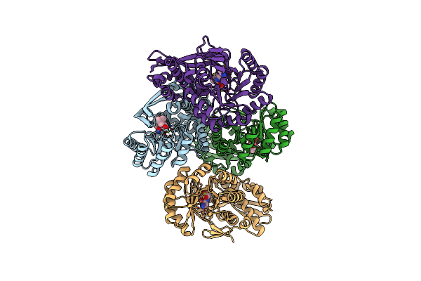 3DEQ image