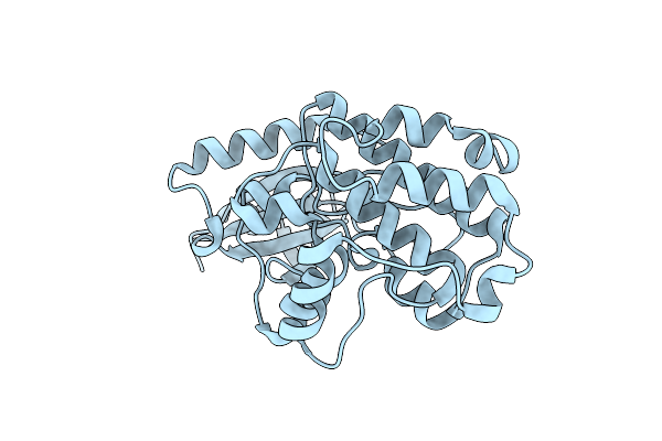 3DFA image