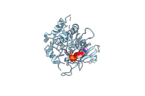 3DFC image