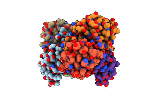 3DFE image