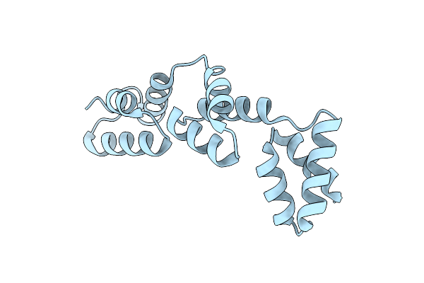 3DFG image