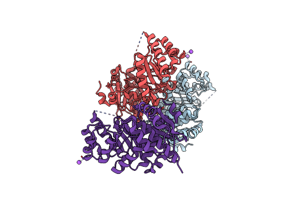 3DFH image