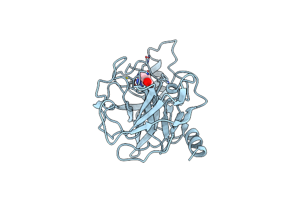 3DFL image