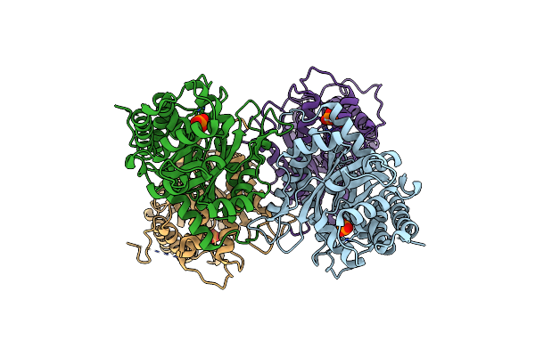 3DFT image