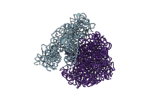 3DG2 image