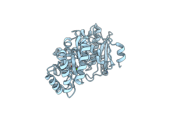 3DG3 image