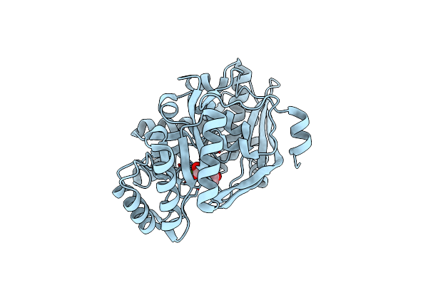 3DG6 image