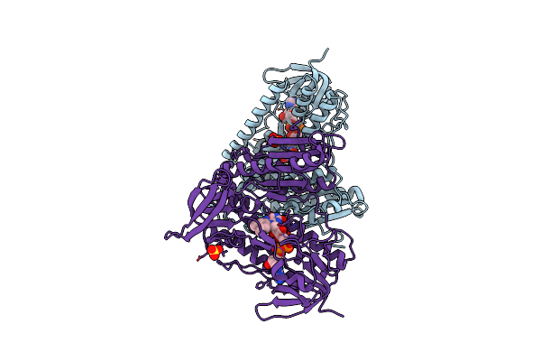 3DGH image