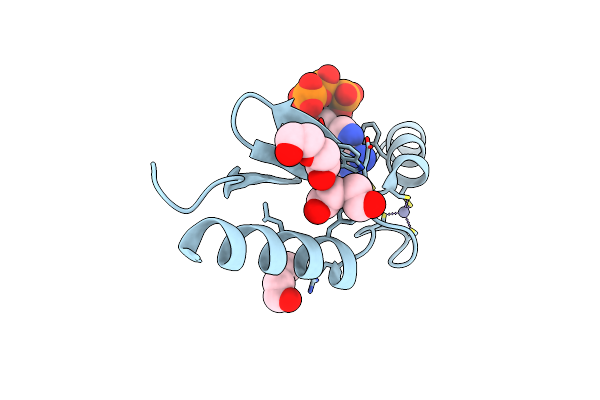 3DGL image