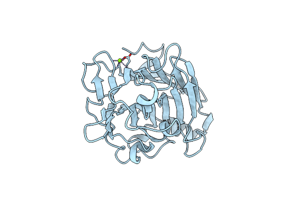 3DGT image