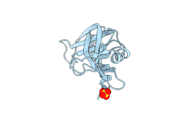 3DH5 image