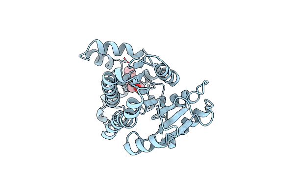 3DHE image