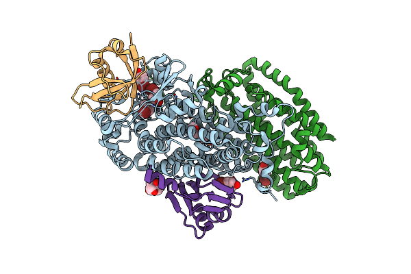 3DHH image
