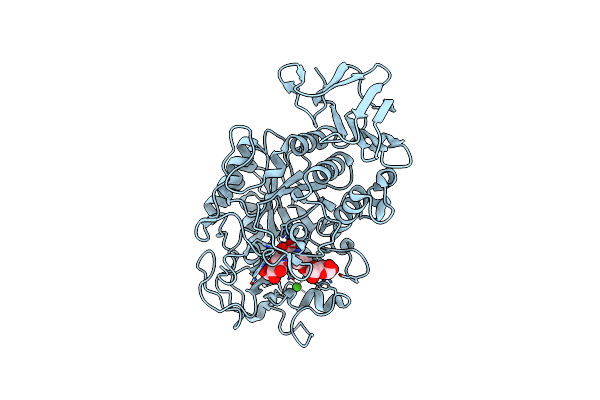 3DHP image