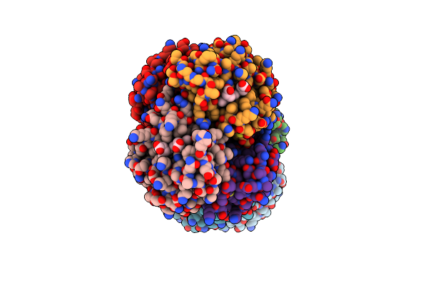 3DHR image