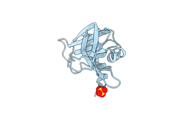 3DIB image
