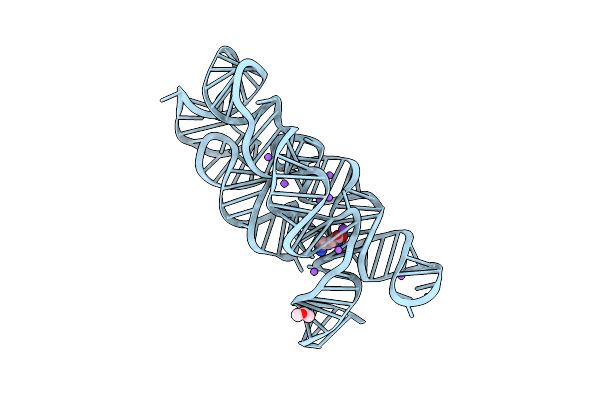 3DIQ image