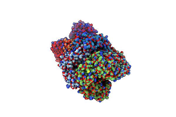 3DJC image