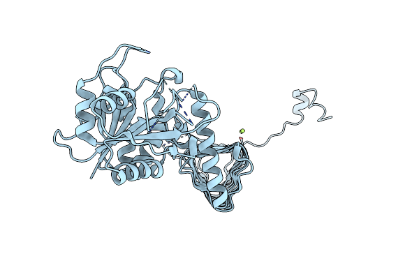 3DK5 image
