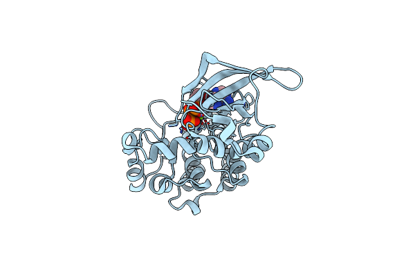 3DKC image