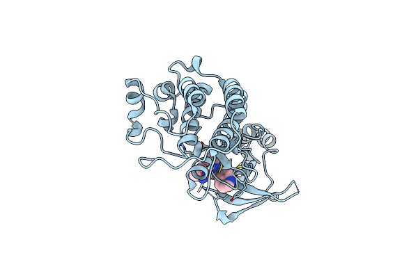 3DKG image