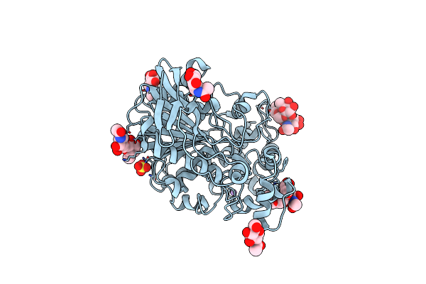 3DKK image