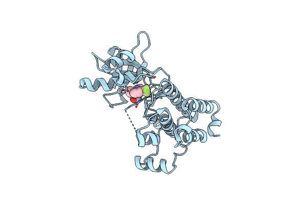 3DKO image