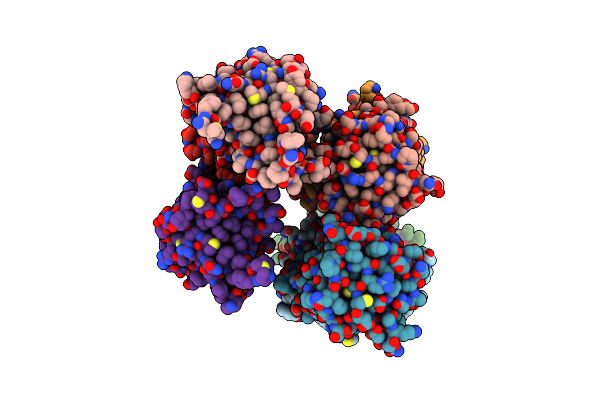 3DKU image