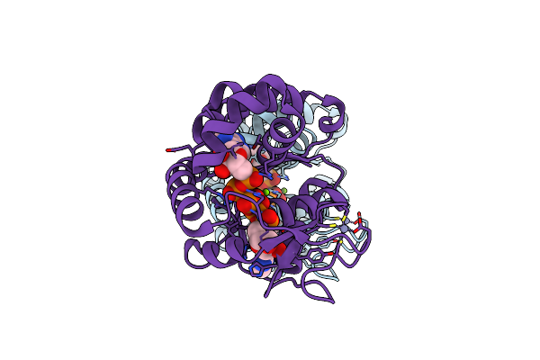 3DL0 image