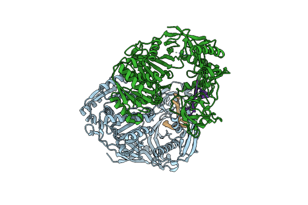 3DLB image