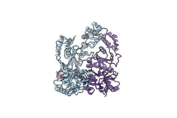 3DLE image