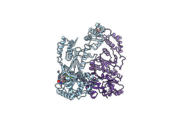 3DLG image