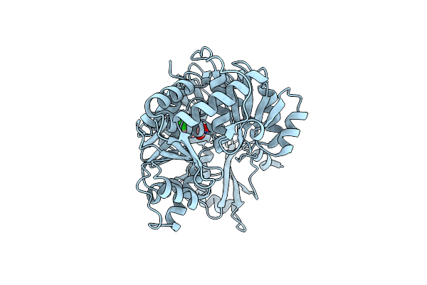 3DLP image