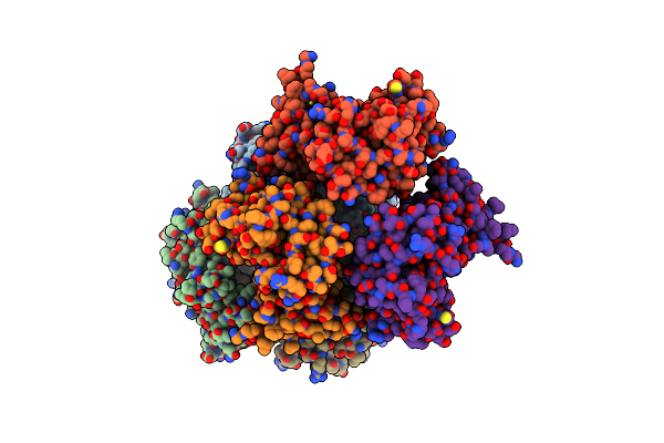 3DLS image