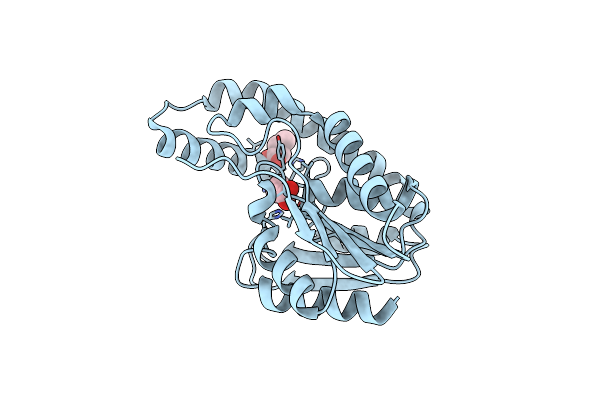 3DLT image