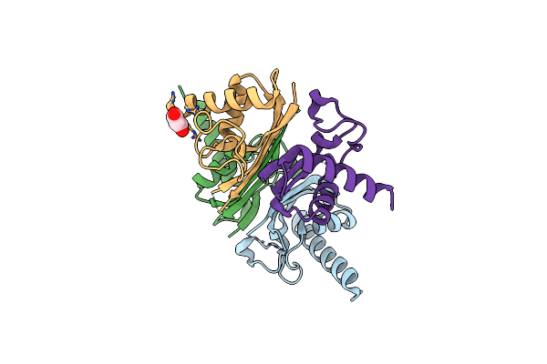 3DLU image
