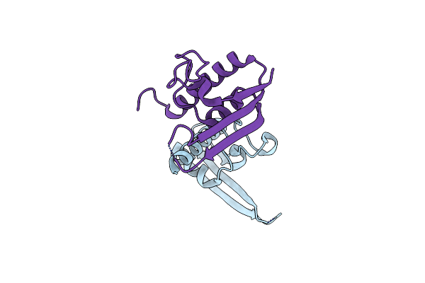 3DLV image