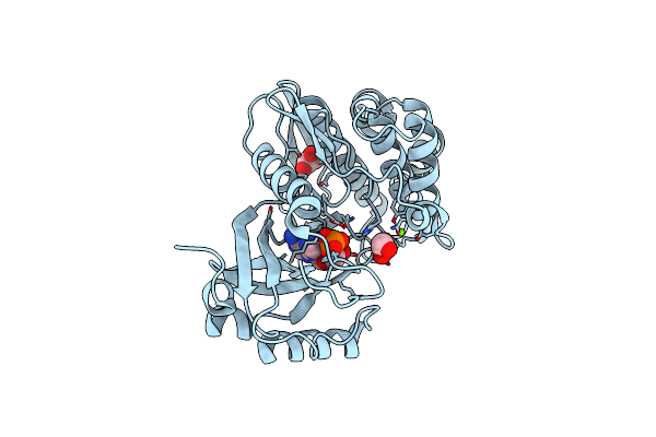 3DLZ image