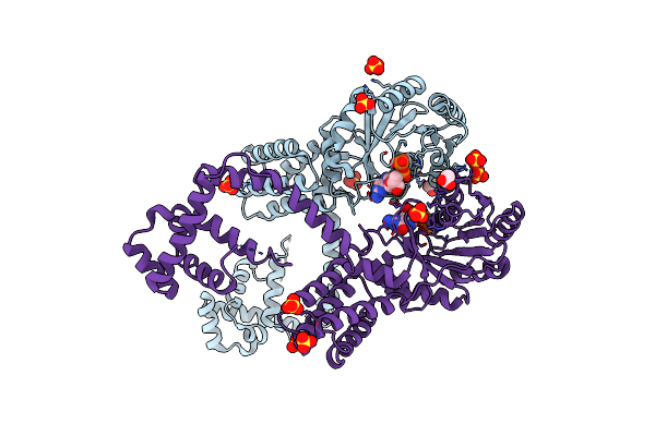 3DM5 image