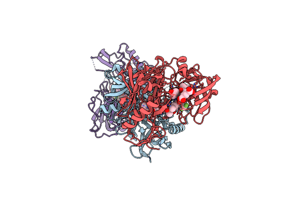 3DM6 image