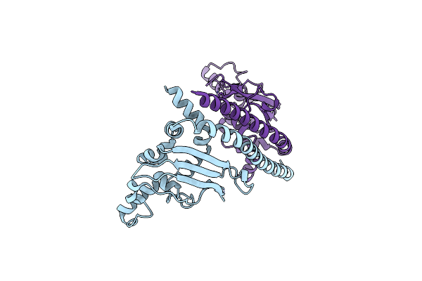3DM7 image