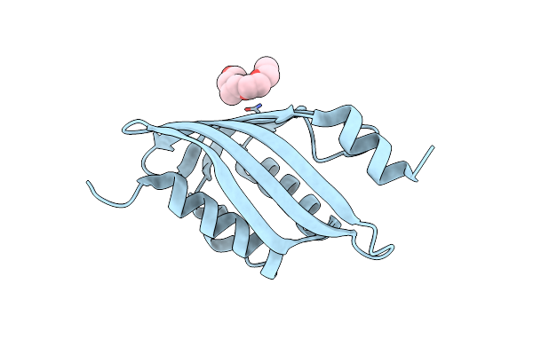 3DM8 image