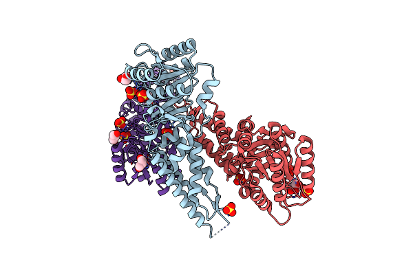 3DMD image