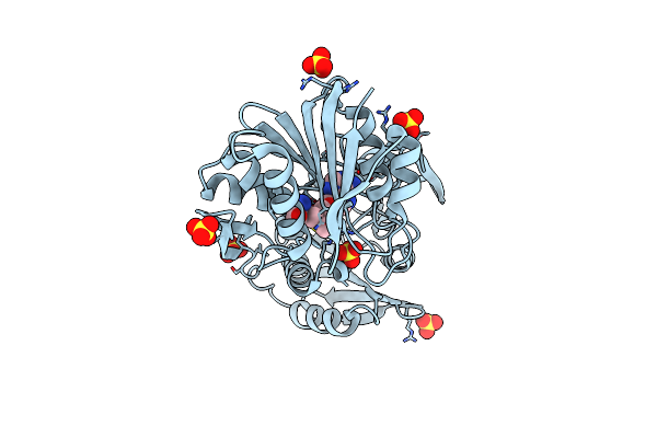 3DMF image