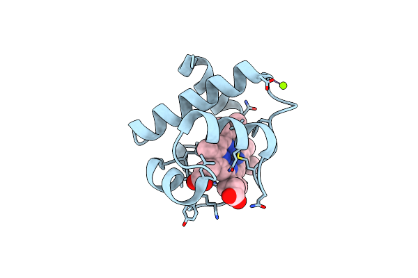 3DMI image