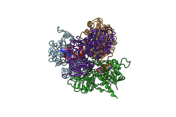 3DMT image