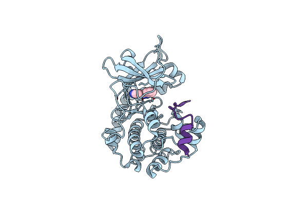 3DNE image