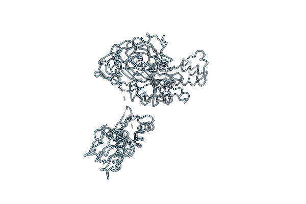 3DNY image