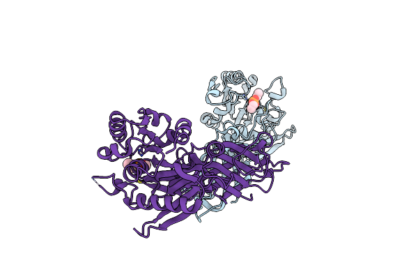 3DOI image